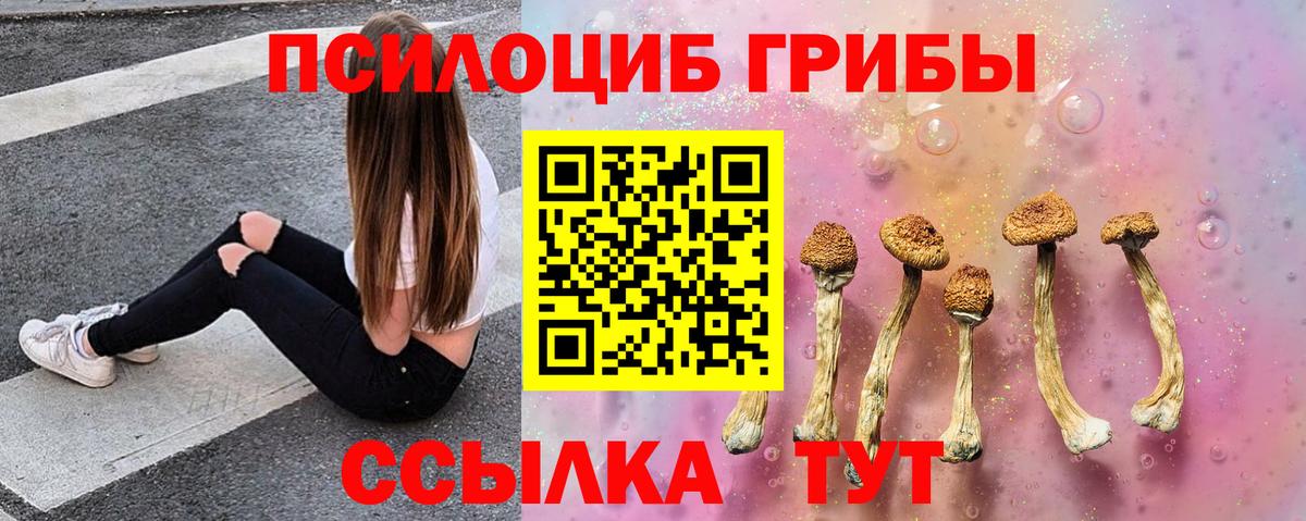 Тимашёвск  Псилоцибиновые грибы Psilocybe  Вход с VPN  Псилоцибиновые грибы прущие грибы 