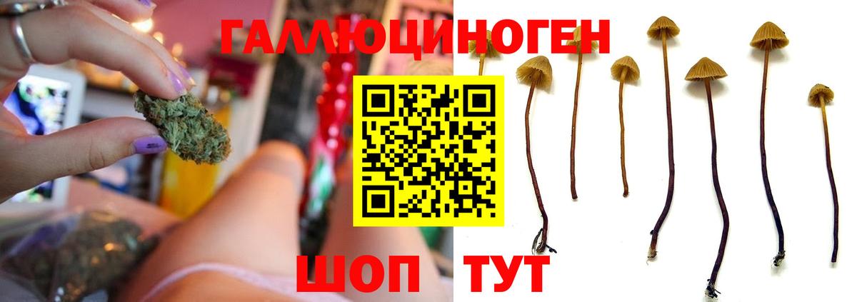 Галлюциногенные грибы MAGIC MUSHROOMS Тимашёвск